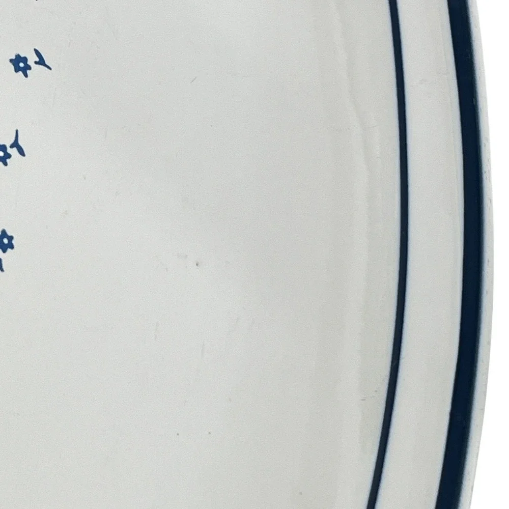 Vintage Country Goose by Trenditions Oval Serving Platter Blue White Farmhouse